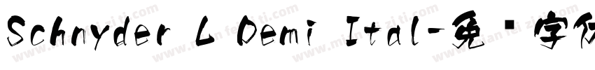 Schnyder L Demi Ital字体转换